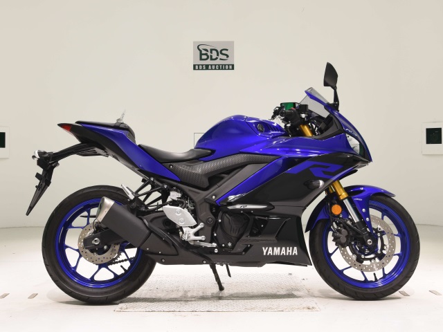 Yamaha YZF-R3 2019