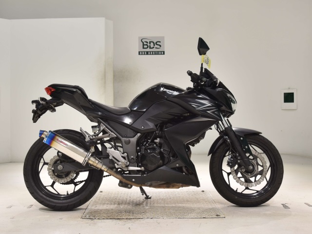 Kawasaki Z250A 2016