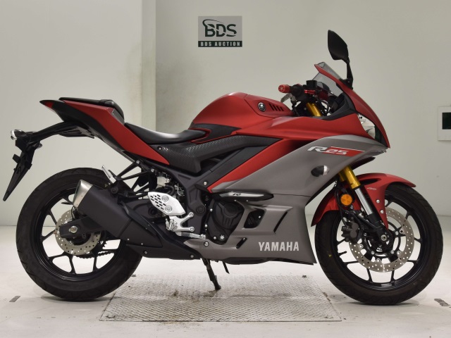 Yamaha YZF-R25 2019