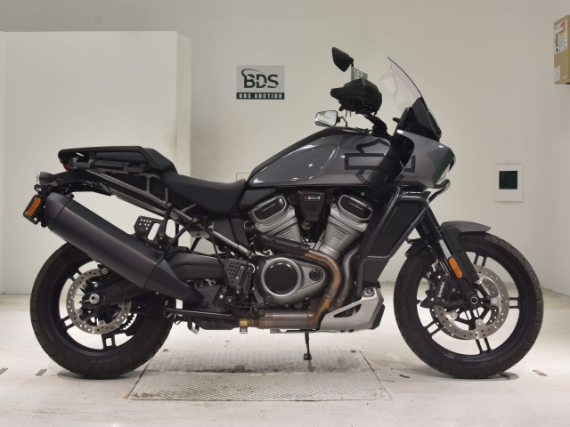HD PAN AMERICA1250 S 2022