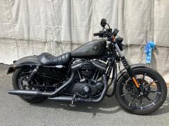 HD SPORTSTER IRON XL883N 2019