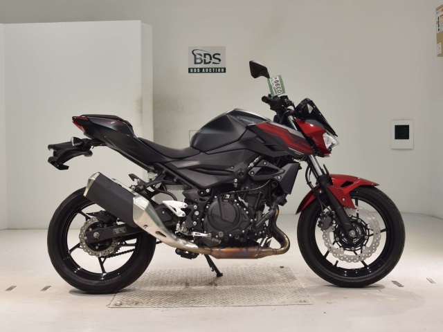 Kawasaki Z250 2019