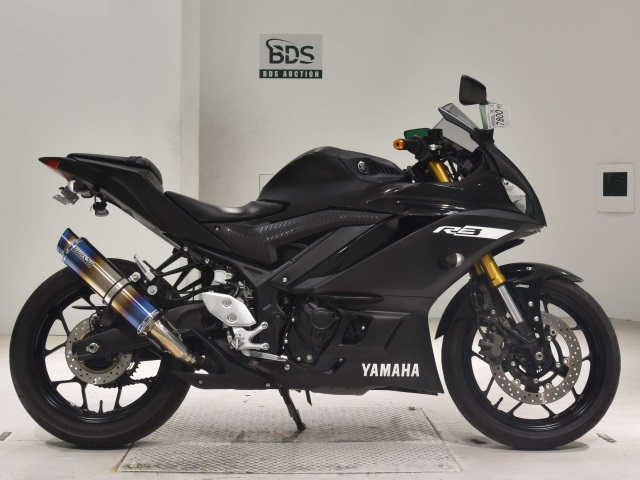 Yamaha YZF-R3 2019