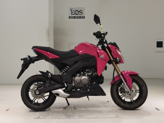 Kawasaki Z125 PRO 2016