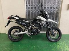 Kawasaki D-TRACKER250X 2013