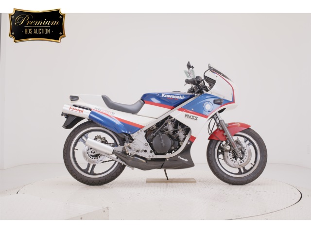 Kawasaki KR250S