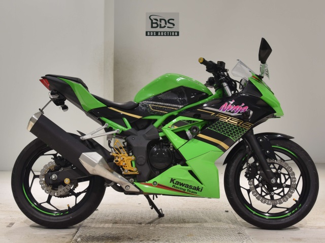 Kawasaki NINJA250 2020