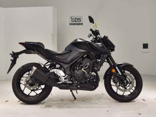 Yamaha MT-25 2022