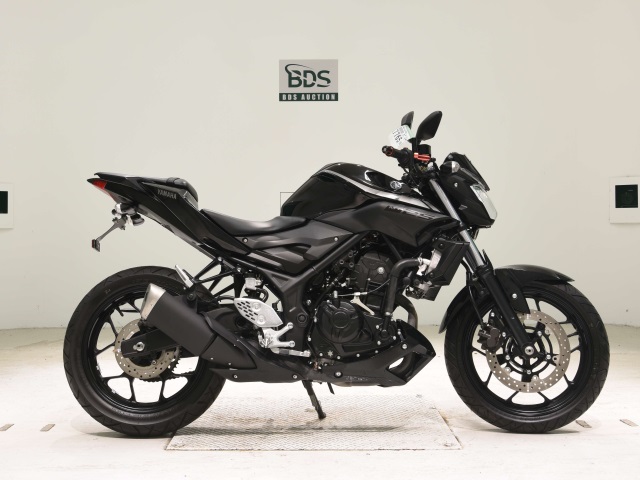 Yamaha MT-25 2018