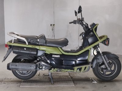 Honda PS250 BIG RUCKUS 2004