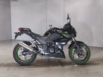 Kawasaki Z250 2013