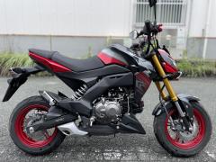 Kawasaki Z125 PRO 2018
