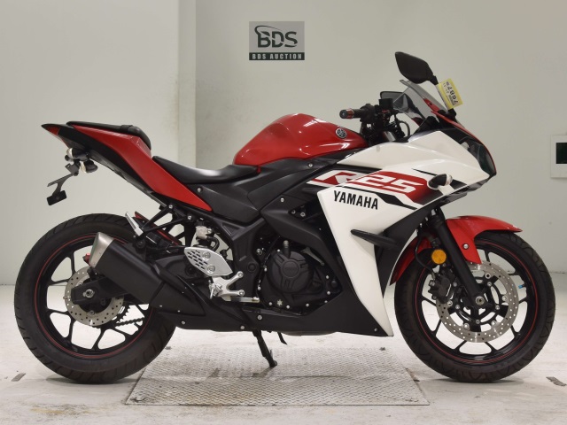 Yamaha YZF-R25