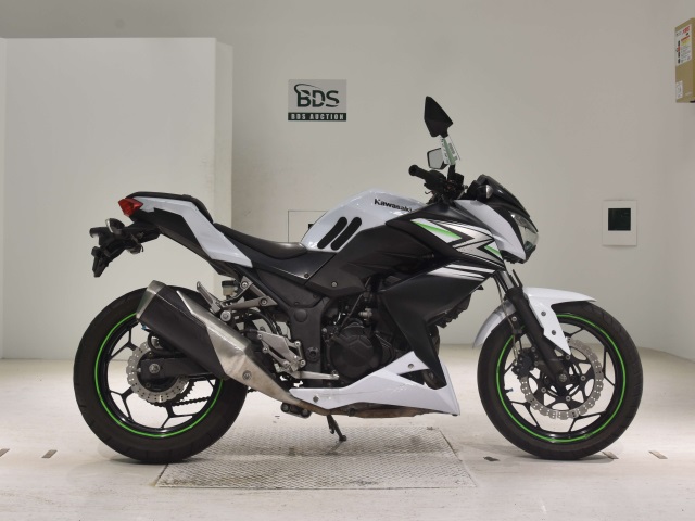 Kawasaki Z250 2014