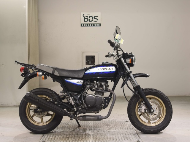 Honda APE100 2010