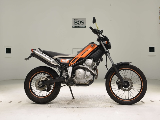 Yamaha TRICKER 2005