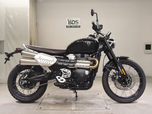 Triumph scrambler 1200x 2025
