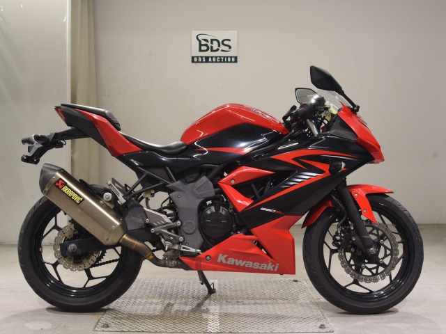 Kawasaki NINJA250 2015