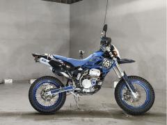 Kawasaki D-TRACKER250 1998
