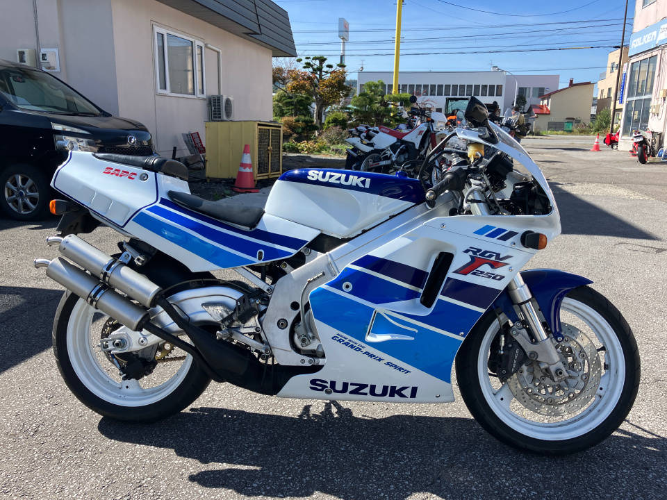 Suzuki RGV250 GAMMA 1990