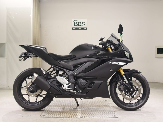 Yamaha YZF-R3 2019