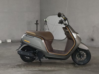 Honda DUNK 2018