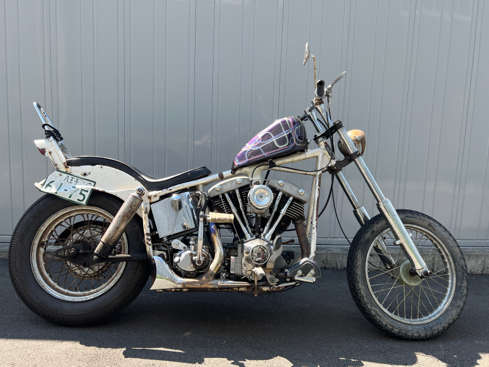 HD SUPER GLIDE FXE1200 2024