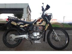 Suzuki DF200 1999