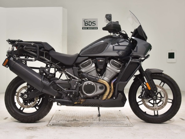 HD PAN AMERICA1250 S 2022