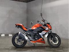 Kawasaki Z250 2014