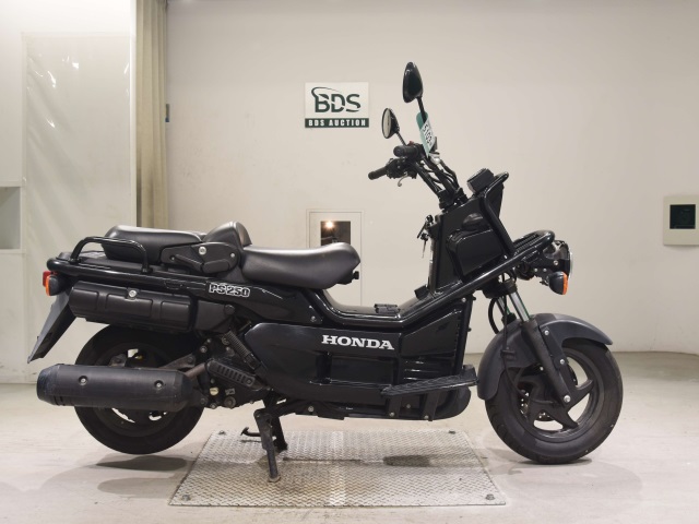 Honda PS250 BIG RUCKUS 2006