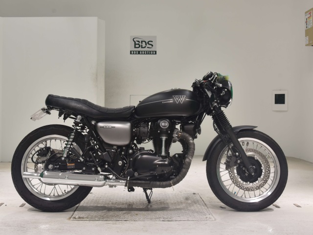 Kawasaki W800 2019