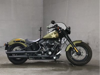 HD SLIM S FLSS1800 2017