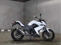 Kawasaki Z250 2013