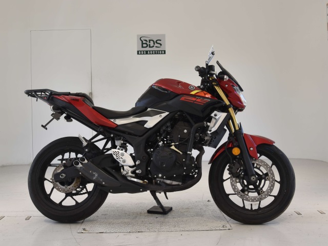 Yamaha MT-25 2016