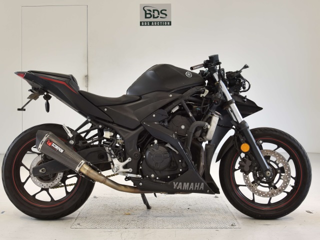 Yamaha YZF-R3 2017