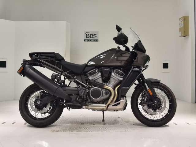HD PAN AMERICA1250 S 2024