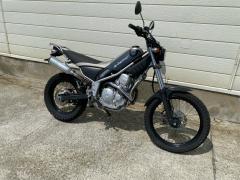 Yamaha TRICKER 2004