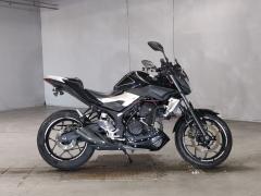 Yamaha MT-25 2016