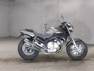 Yamaha ZEAL FZX250
