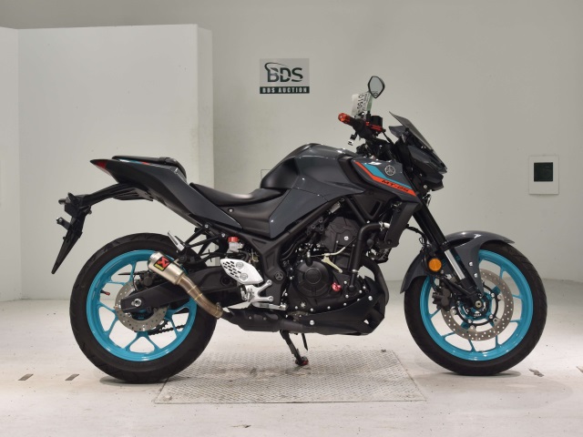 Yamaha MT-25 2022