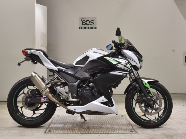 Kawasaki Z250 2014