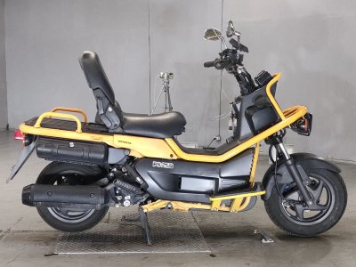 Honda PS250 BIG RUCKUS 2004
