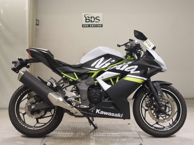 Kawasaki NINJA250 2020