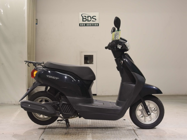 Honda TACT-4 BASIC 2019