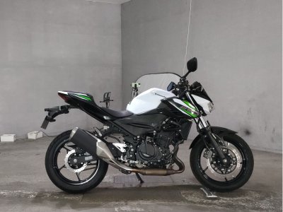 Kawasaki Z250 2019
