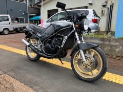 Yamaha RZ250R