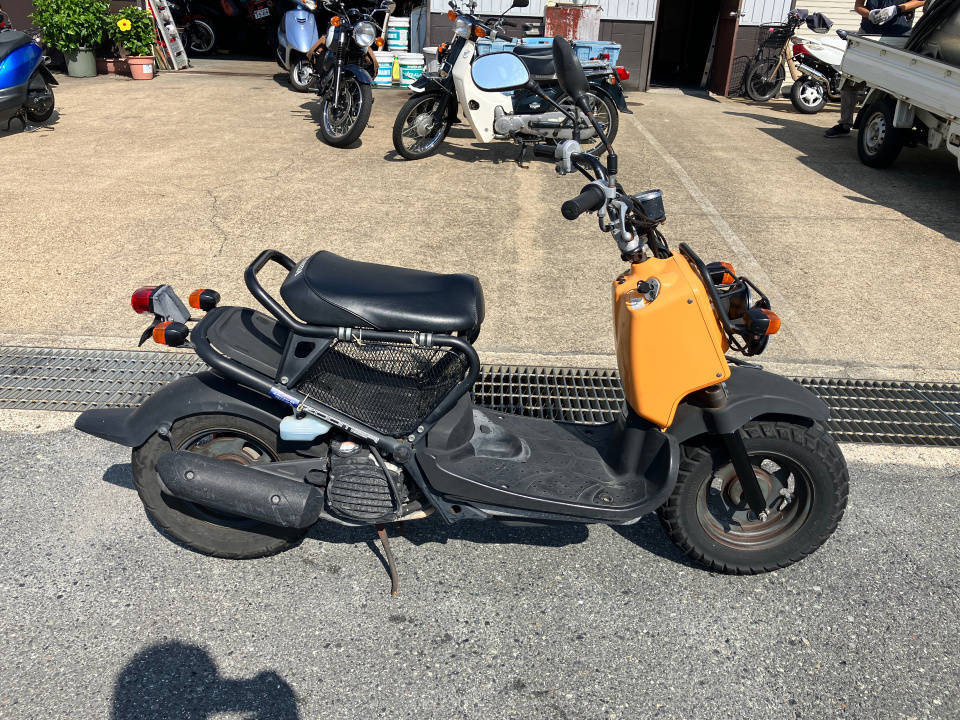 Honda ZOOMER 2009