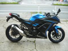 Kawasaki NINJA250 2015