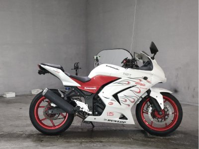 Kawasaki NINJA250R 2010
